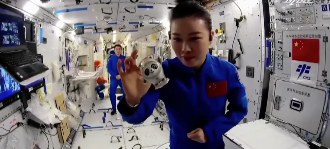 为什么篮球教练的经验对球员发展至关重要_1